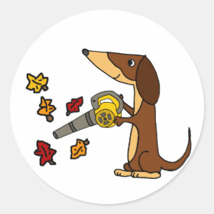 Funny Dachshund Dog met behulp van Leaf Blower Ronde Sticker