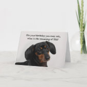 Funny Dachshund Kaart (Voorkant)