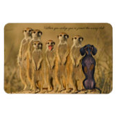 Funny Dachshund Meerkat Magnet Magneet (Horizontaal)