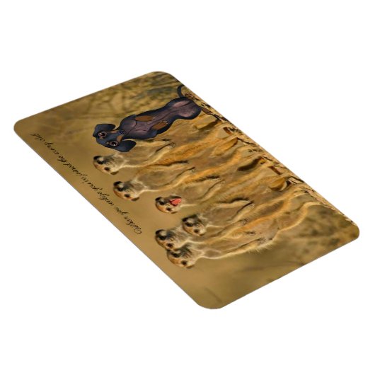 Funny Dachshund Meerkat Magnet Magneet (Rechterzijde)