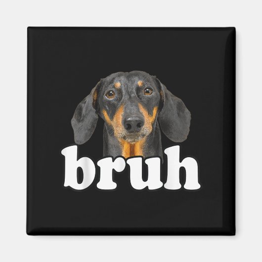 Funny Dachshund Meme Gezegde Bruh Funny Dog Sarcas Magneet (Voorkant)
