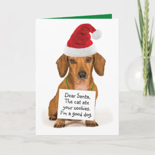 Funny Dachshund met gebarentaal voor Kerstmis Feestdagen Kaart