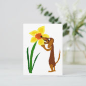 Funny Dachshund Smelling Yellow Daffodil Briefkaart (Staand voorkant)