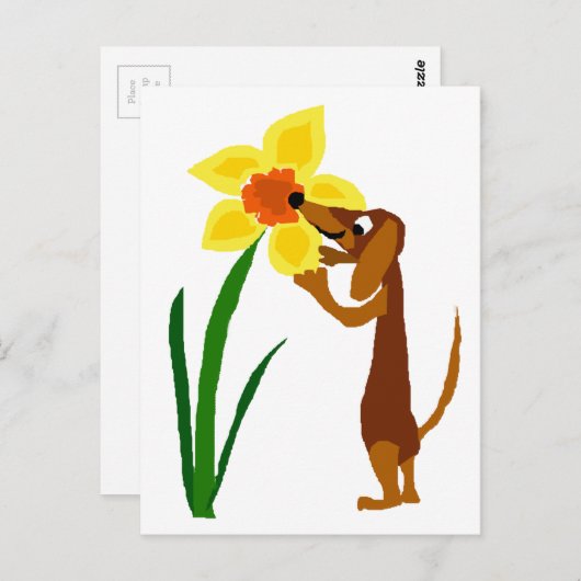 Funny Dachshund Smelling Yellow Daffodil Briefkaart (Voorkant / Achterkant)