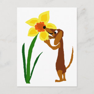 Funny Dachshund Smelling Yellow Daffodil Briefkaart