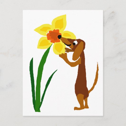 Funny Dachshund Smelling Yellow Daffodil Briefkaart (Voorkant)