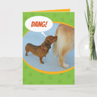 Funny Dachshund Sniffing Golden Retriever Butt Kaart