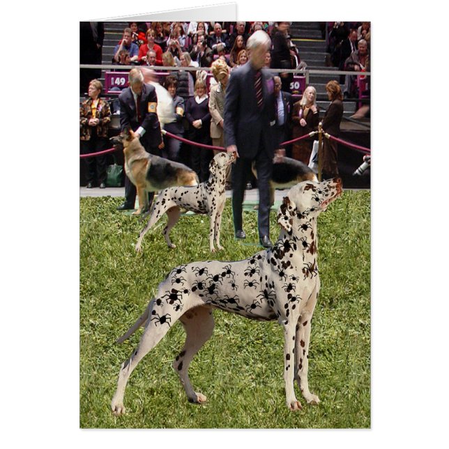 Funny Dalmatian Show Dog (Voorkant)