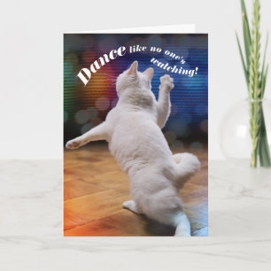 Funny Dancing Cat - Niemand ziet de Birthday Kaart