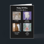 Funny Daughter/Daughter-in-law/Niece Birthday Kaart<br><div class="desc">Vier afbeeldingen Missy. Tekst: "Happy BIrthday to a niece that is ... een engel, en modieus, een superkantoormanager en een fantastische kok!" U kunt voor om het even welk vrouw aanpassen. (Mijn nichtje is echt een kantoormanager. Je zou een goede student kunnen zetten, enz. waar Missy achter de computer zit....</div>