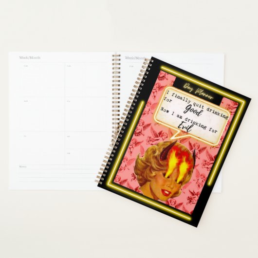 Funny Day Planner/Journal For Women Sassy-Evil Planner (Display)