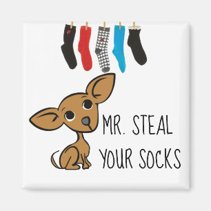 Funny de heer Steal Your Socks Chihuahua Magnet