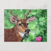 Funny Deer Painting Briefkaart (Voorkant)