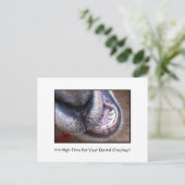 Funny Dental Checkup Benoeming Reminder Geit Briefkaart (Staand voorkant)