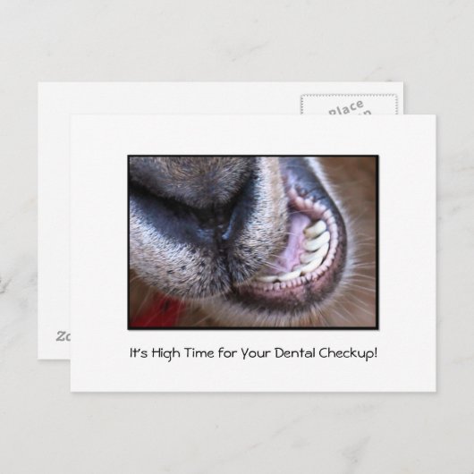 Funny Dental Checkup Benoeming Reminder Geit Briefkaart (Voorkant / Achterkant)