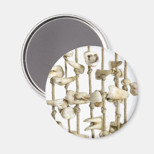 Funny Dental Photography Extracted Teeth Dentist Magneet (Voorkant / Achterkant)