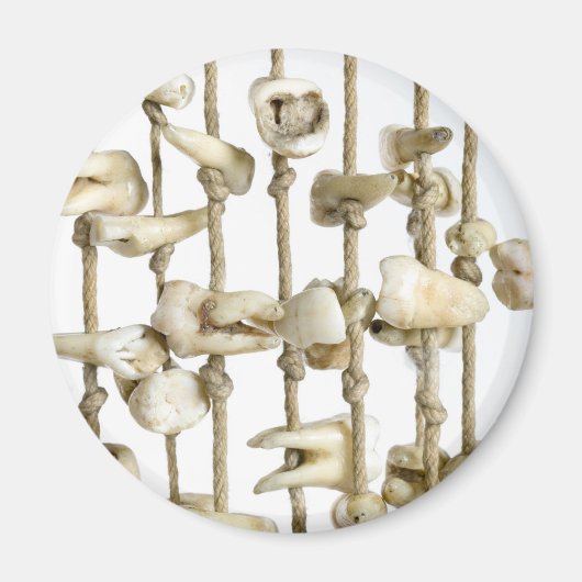 Funny Dental Photography Extracted Teeth Dentist Magneet (Voorkant)