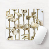 Funny Dental Photography Extracted Teeth Dentist Muismat (Met muis)