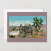 Funny Desert Briefkaart (Voorkant / Achterkant)