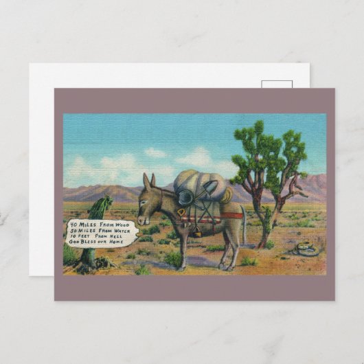 Funny Desert Briefkaart (Voorkant / Achterkant)