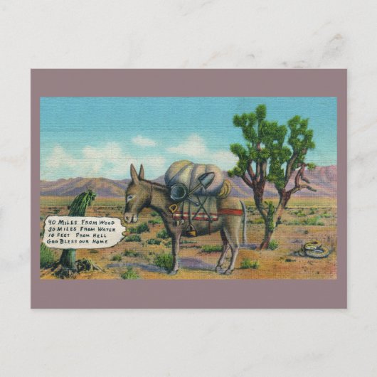 Funny  Desert Briefkaart (Voorkant)
