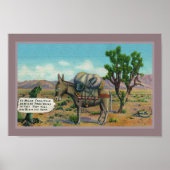Funny  Desert Poster (Voorkant)