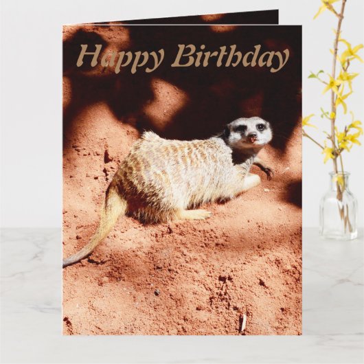 Funny Digging Meerkat Jumbo Birthday Kaart (Gele Bloem)