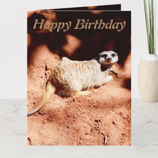 Funny Digging Meerkat Jumbo Birthday Kaart (Voorkant)