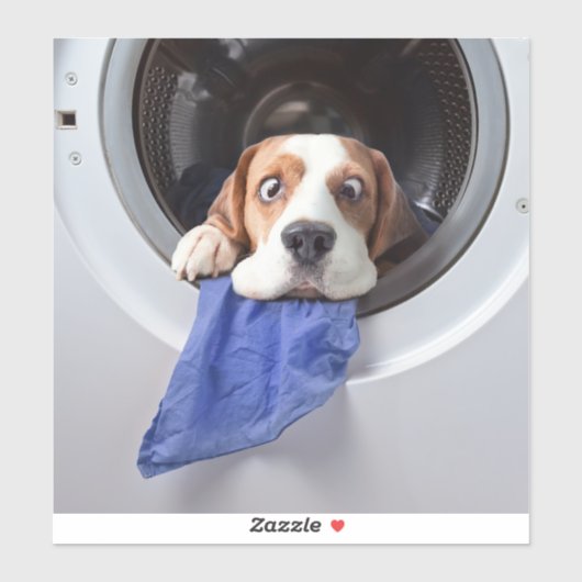 Funny dizzy beagle delicate washing sticker (Vel)