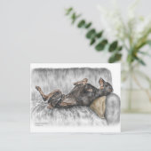 Funny Doberman over Sofa Briefkaart (Staand voorkant)