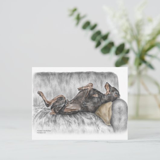 Funny Doberman over Sofa Briefkaart (Staand voorkant)