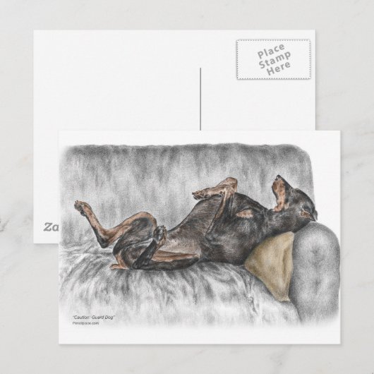 Funny Doberman over Sofa Briefkaart (Voorkant / Achterkant)