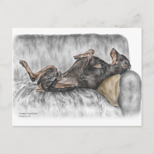 Funny Doberman over Sofa Briefkaart