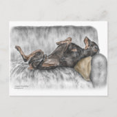 Funny Doberman over Sofa Briefkaart (Voorkant)