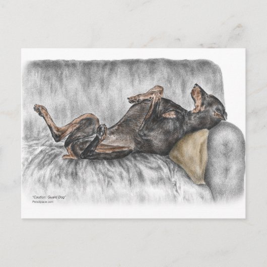 Funny Doberman over Sofa Briefkaart (Voorkant)