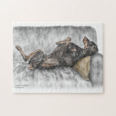 Funny Doberman over Sofa Legpuzzel (Horizontaal)