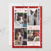 Funny Dog 4 Foto Collage YAPPY PAWLIDAYS Red Feestdagenkaart (Voorkant)