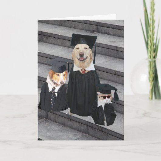 Funny Dog Afstuderen Kaart (Voorkant)