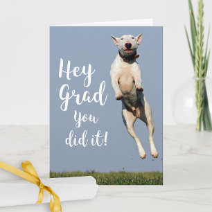 Funny Dog Afstuderen Kaart Gefeliciteerd Afstudeer