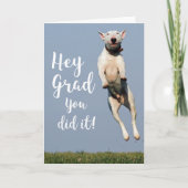 Funny Dog Afstuderen Kaart Gefeliciteerd Afstudeer (Voorkant)