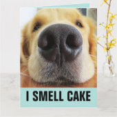 FUNNY DOG BIG BIRTHDAY SMELL CAKE CARD KAART (Gele Bloem)
