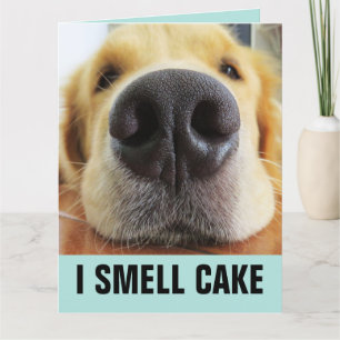 FUNNY DOG BIG BIRTHDAY SMELL CAKE CARD KAART