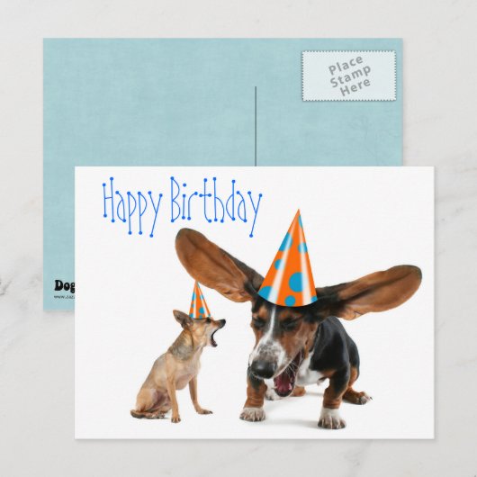 Funny Dog Birthday Briefkaart (Voorkant / Achterkant)