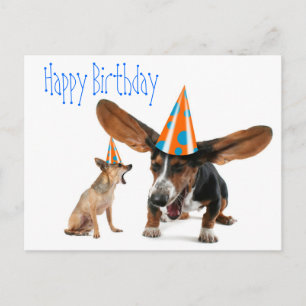 Funny Dog Birthday Briefkaart