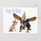Funny Dog Birthday Briefkaart (Voorkant)