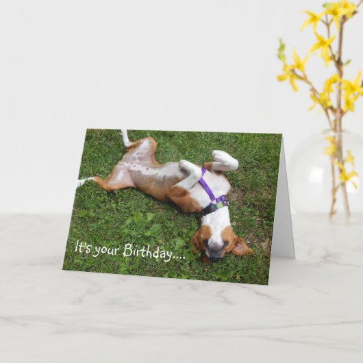 Funny Dog Birthday Card Kaart (Gele Bloem)