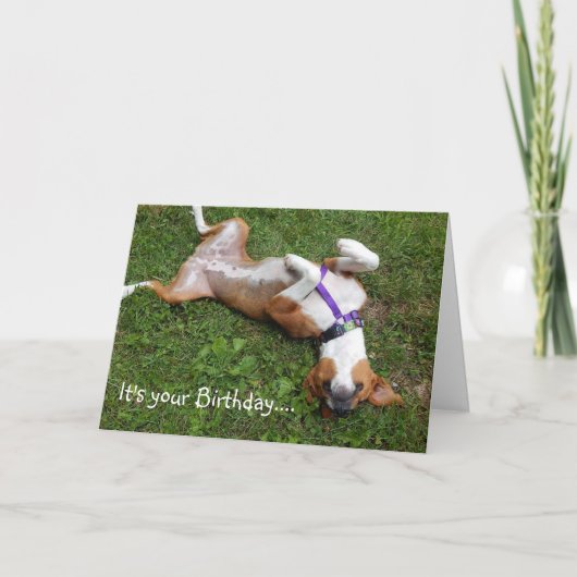 Funny Dog Birthday Card Kaart (Voorkant)