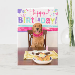 Funny Dog Birthday Card Kaart
