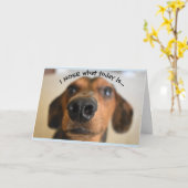 Funny Dog Birthday Card Kaart (Gele Bloem)