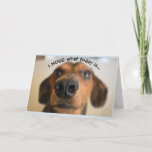 Funny Dog Birthday Card Kaart<br><div class="desc">Grappig Birthday-kaart van een hondenneus. De tekst luidt: "Ik heb mijn neus vandaag is" en aan de binnenkant staat: "Het is jouw verjaardag!"</div>